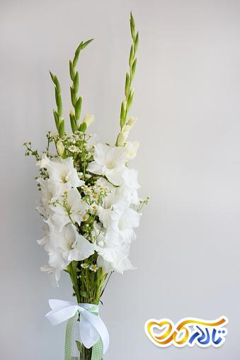 دسته گل گلایول