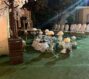 باغ تالار قصر ملک