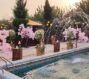 گالری عکس باغ تالار چوبی در احمدآباد مستوفی