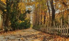 عمارت عکاسی اردیبهشت