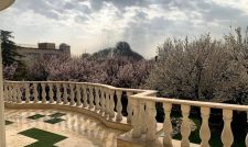 عروس درخشان