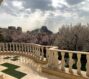 عروس درخشان