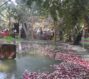 باغ بلادی گرمدره
