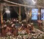 خانه عقد بلادی گرمدره