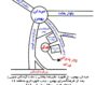 تالار فدک