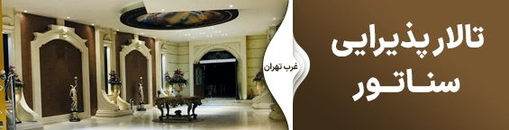 سناتور