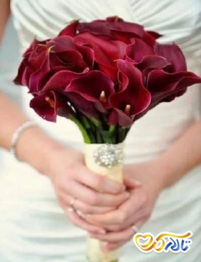 گل برای عقد محضری