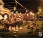 باغ عروسی والا شهریار باغستان
