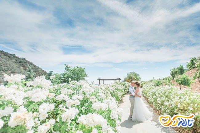 نکات مهم برگزاری عروسی در بهار