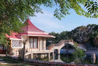 فضای سبز عمارت کاج تهران