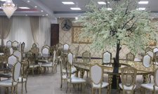 تالار کشتی ارم